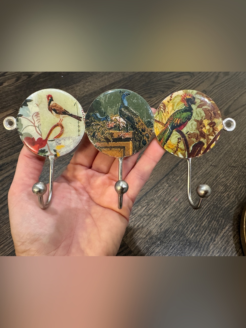 Vintage Style Bird Wall 3 Hooks Made in India Cottage Decor